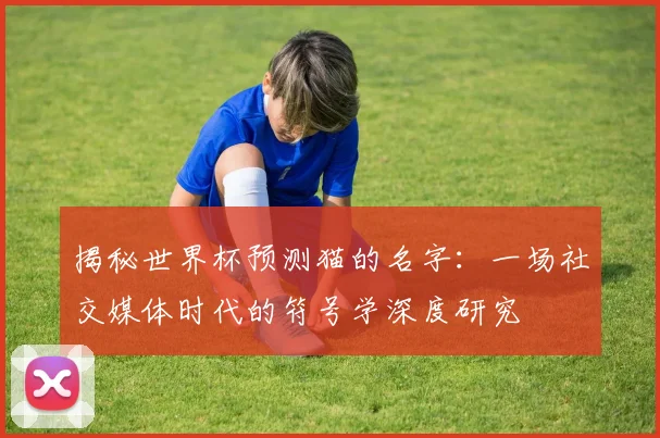 揭秘世界杯预测猫的名字：一场社交媒体时代的符号学深度研究