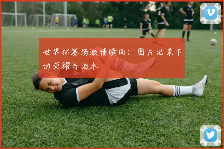 世界杯赛场激情瞬间：图片记录下的荣耀与泪水