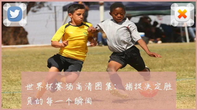 世界杯赛场高清图集：捕捉决定胜负的每一个瞬间