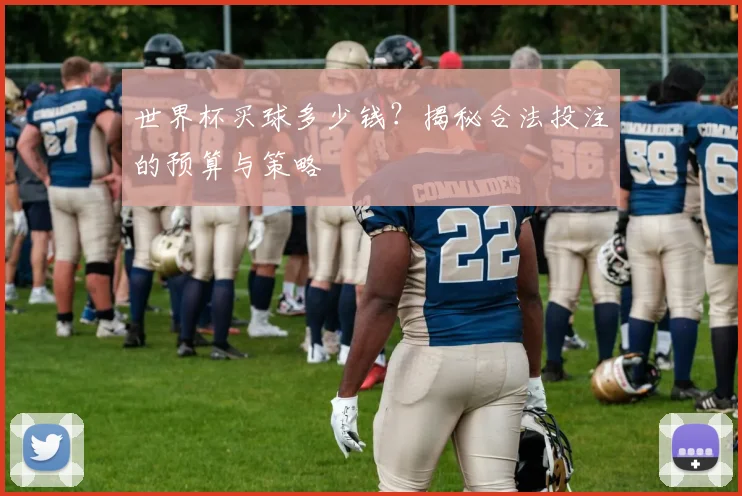 世界杯买球多少钱？揭秘合法投注的预算与策略