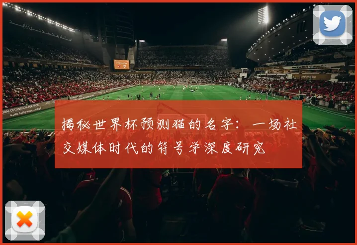 揭秘世界杯预测猫的名字：一场社交媒体时代的符号学深度研究