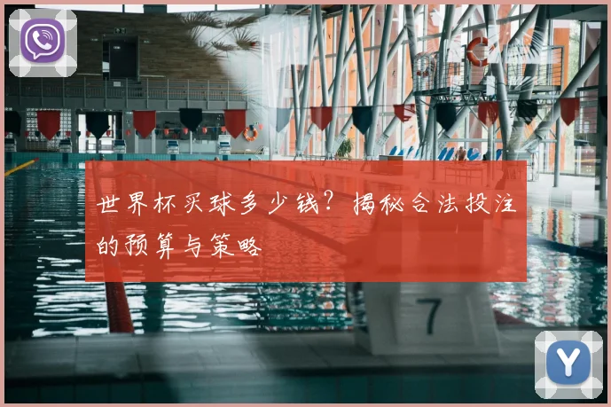 世界杯买球多少钱?揭秘合法投注的预算与策略