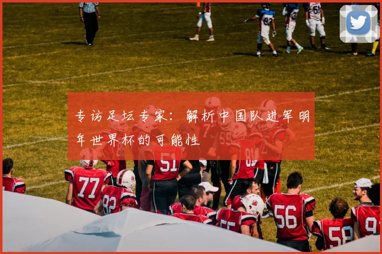 专访足坛专家：解析中国队进军明年世界杯的可能性